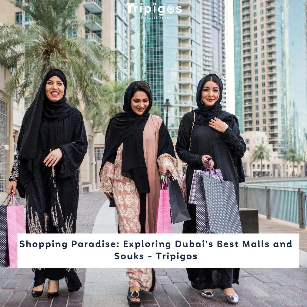 Shopping Paradise: Exploring Dubai’s Best Malls and Souks - Tripigos