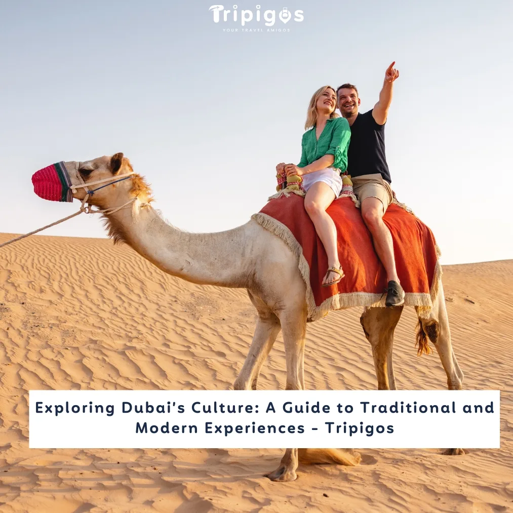 Exploring Dubai’s Culture: A Guide to Traditional and Modern Experiences - Tripigos