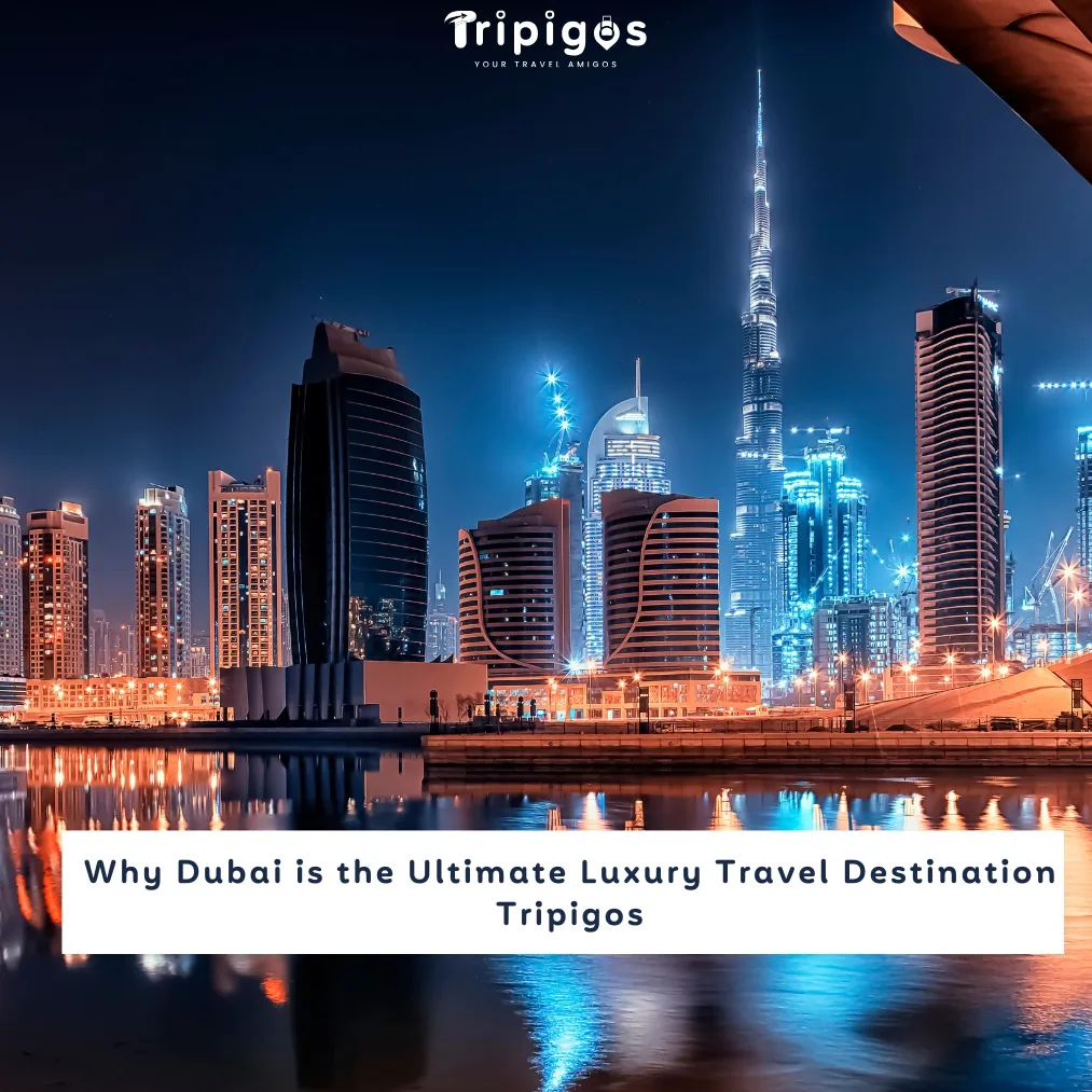Why Dubai is the Ultimate Luxury Travel Destination - Tripigos