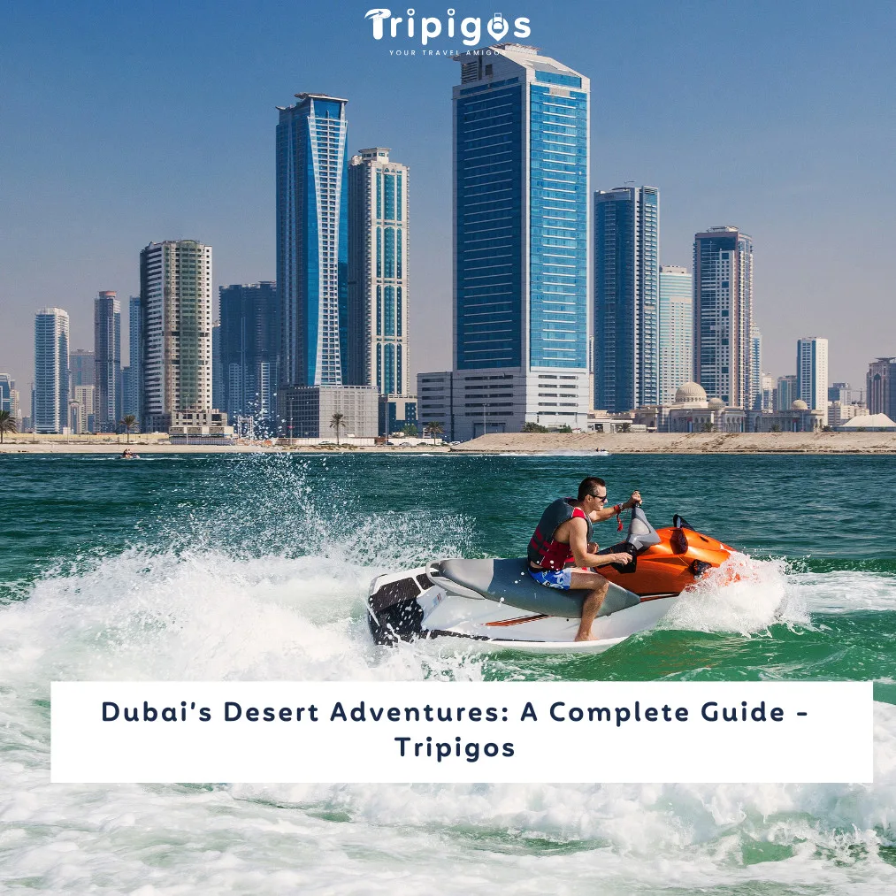 Dubai’s Desert Adventures: A Complete Guide - Tripigos