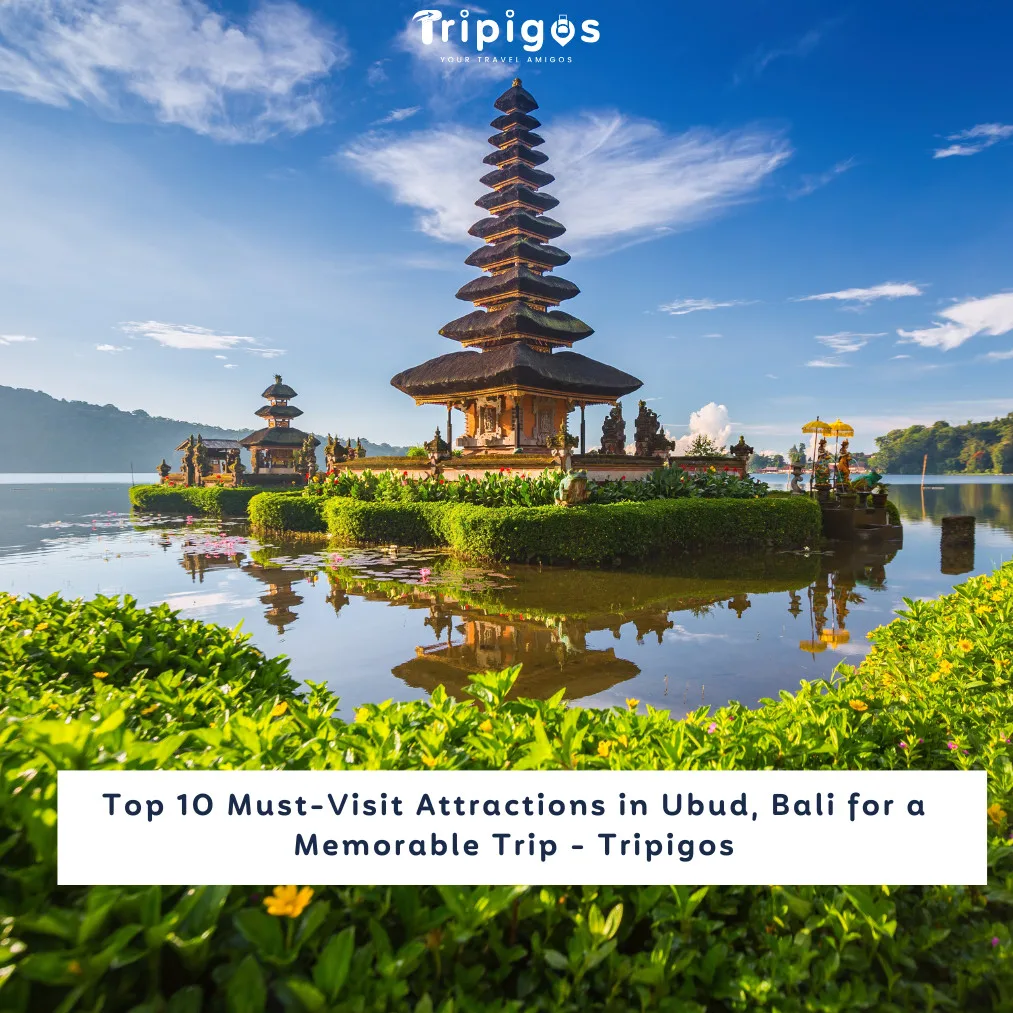 Top 10 Must-Visit Attractions in Ubud, Bali for a Memorable Trip - Tripigos