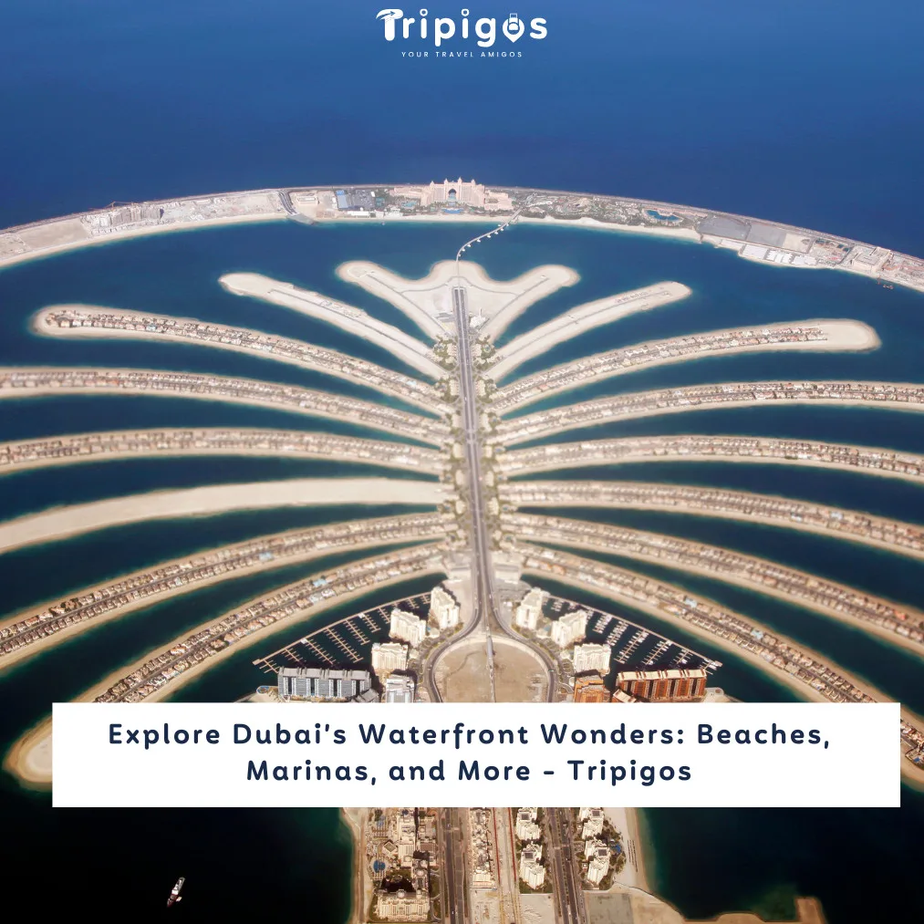Explore Dubai’s Waterfront Wonders: Beaches, Marinas, and More - Tripigos