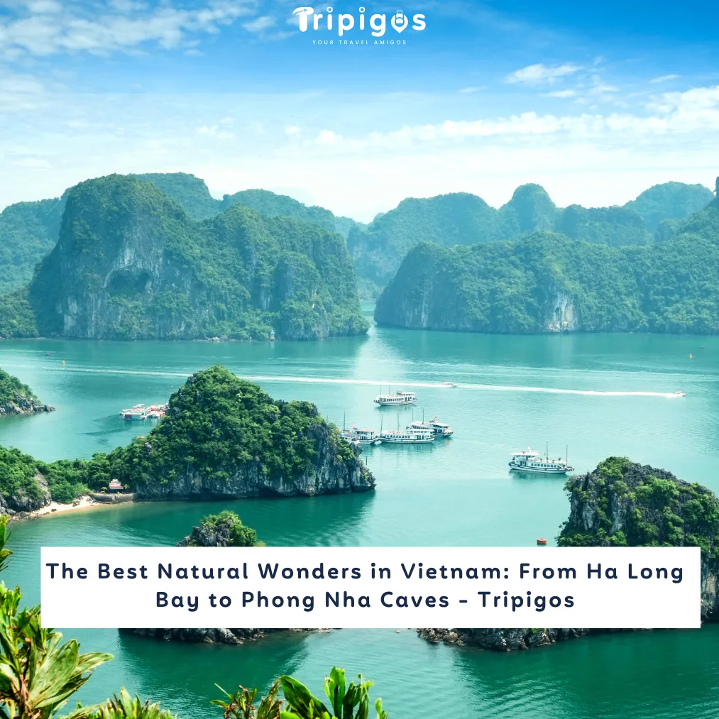 The Best Natural Wonders in Vietnam: From Ha Long Bay to Phong Nha Caves - Tripigos