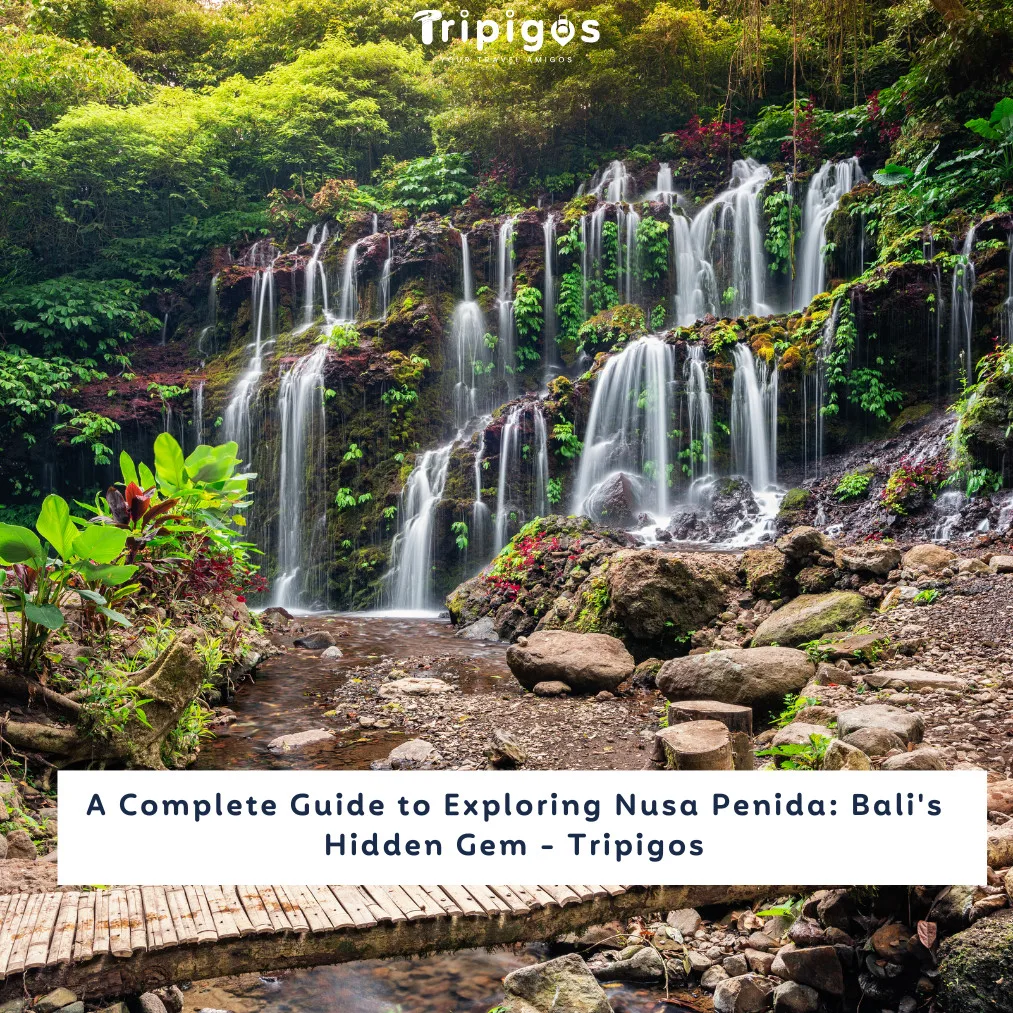 A Complete Guide to Exploring Nusa Penida: Bali's Hidden Gem - Tripigos